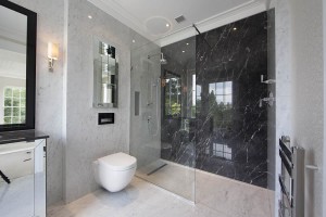 compact wet room