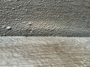 IMG_5649