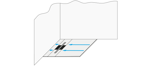 Layout SD1