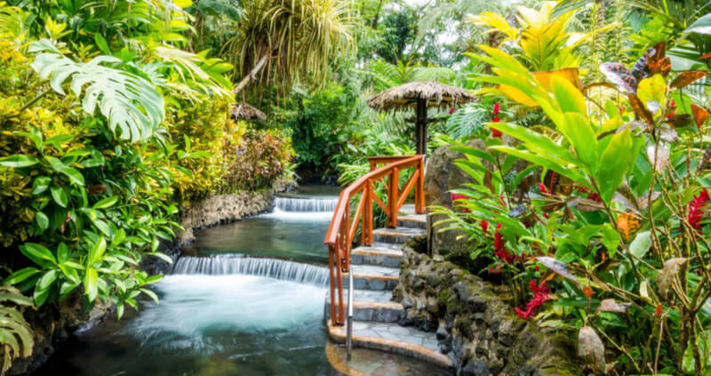 Japanese Spa with flowing water and green plants