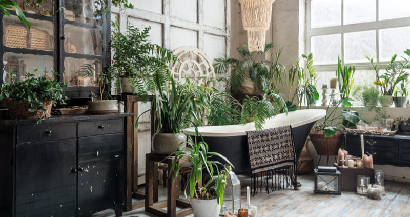 Hygge bathroom idea with lots of plants and an earthy theme