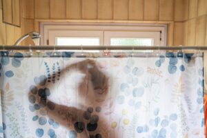 CCL-wetrooms shower curtain