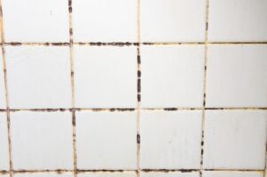Tiles that have mold stains in their grooves