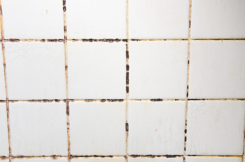 Tiles that have mold stains in their grooves