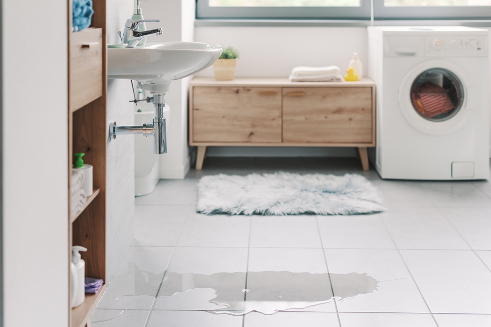 Dry Out Bathroom Shutterstock
